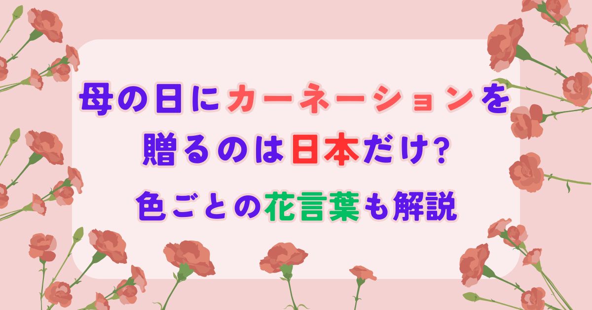 カーネーションと紫色の文字